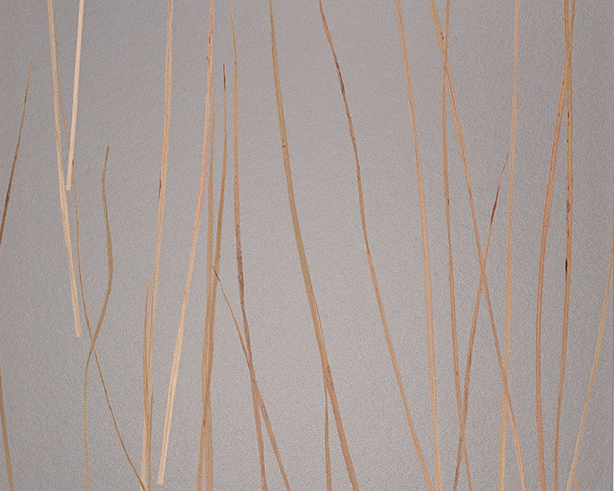 Bear Grass
